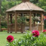 Gazebo for photo opportunities